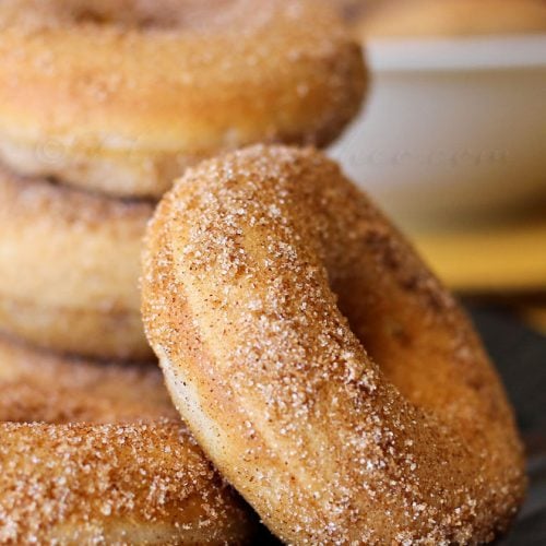 Baked Churro Donuts - Yummi Haus