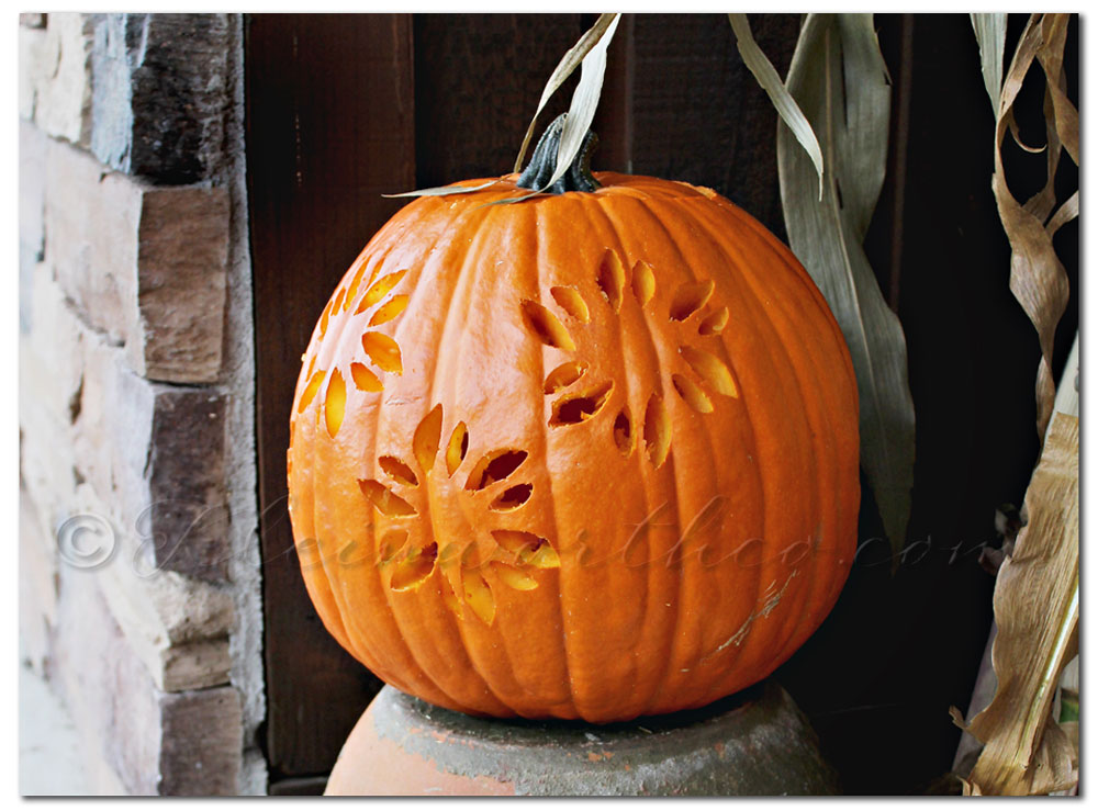 Pumpkin Masters Creative Carving ~ Project 52 Week 40 - Taste of the ...