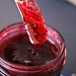 Concord Grape Spread - Yummi Haus