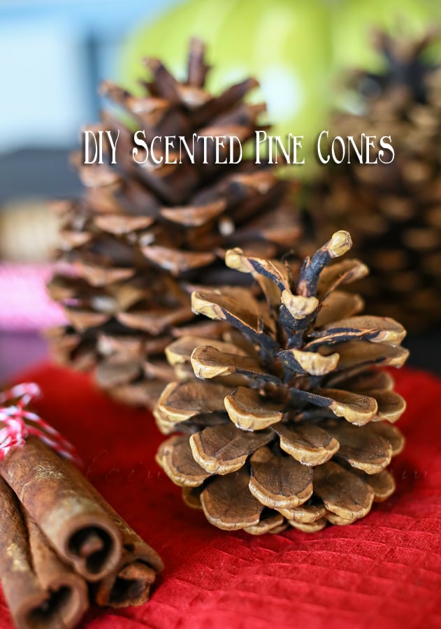 DIY Scented Pine Cones - Taste of the Frontier