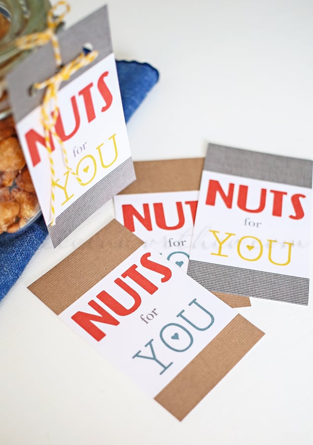 Nuts for You Valentine {Free Printable Valentines} - Taste of the Frontier