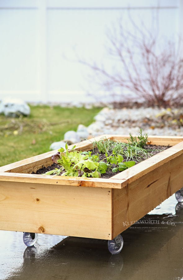 https://www.kleinworthco.com/wp-content/uploads/2018/04/DIY-Rolling-Planter-Box-small-space-gardening.jpg