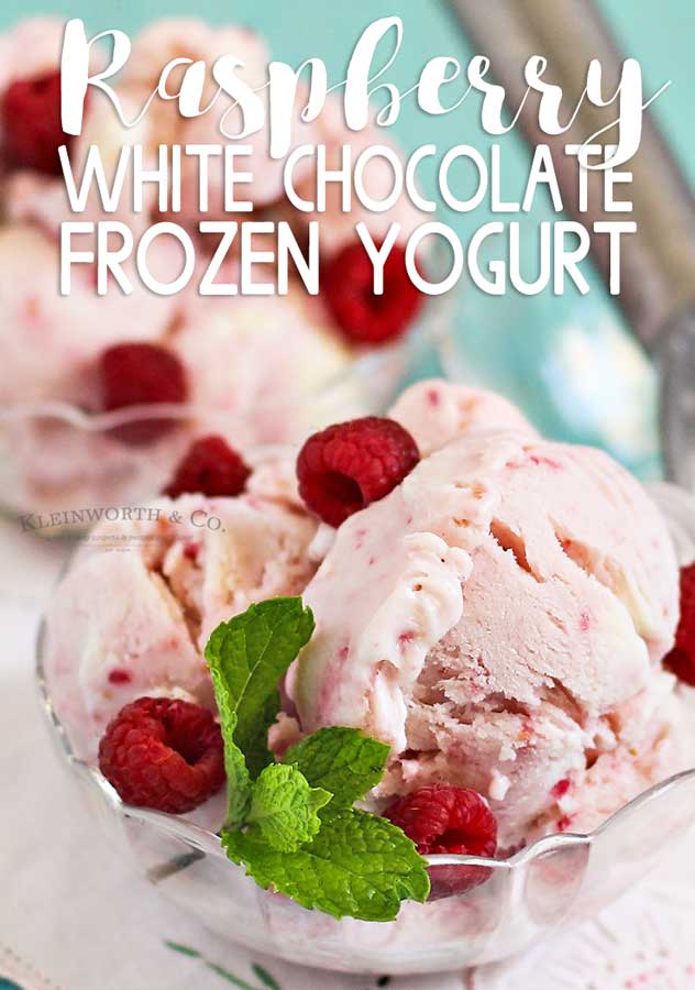 Raspberry White Chocolate Frozen Yogurt - Taste of the Frontier