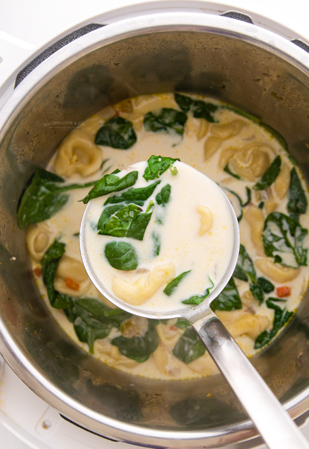 Instant Pot Creamy Tortellini, Spinach and Chicken Soup - 365 Days of Slow  Cooking and Pressure Cooking : r/PressureCooking