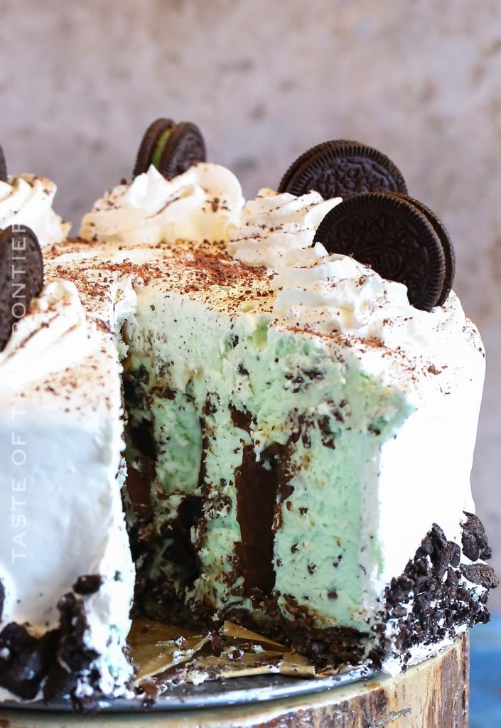 Mint Chocolate Chip Ice Cream Cake - Yummi Haus