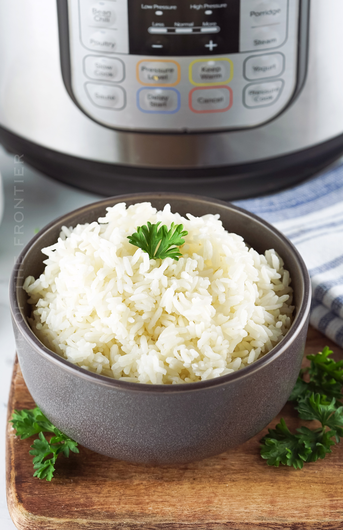 Instant Pot White Rice - Taste of the Frontier