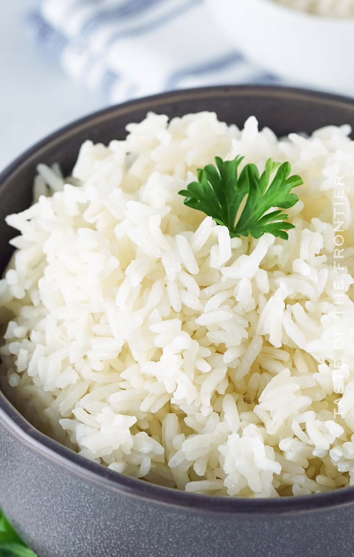 Instant Pot White Rice - Taste of the Frontier