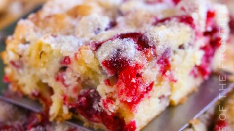 Cranberry Christmas Cake