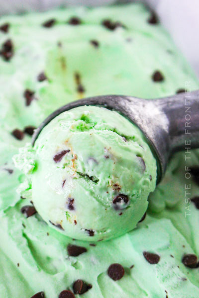 Grasshopper Ice Cream - Yummi Haus