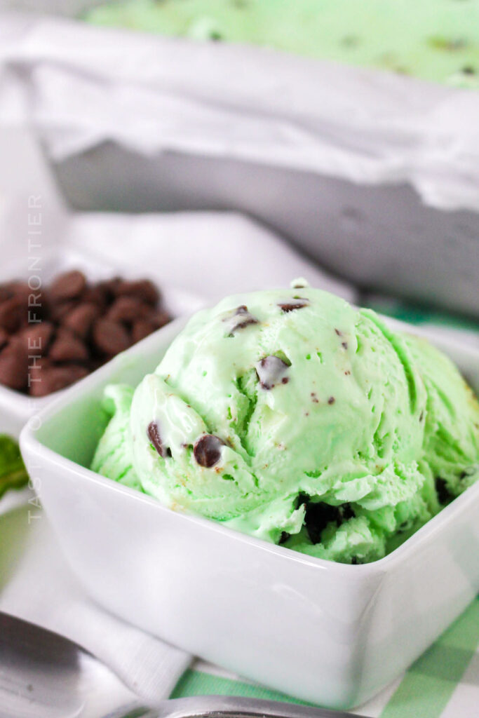 Grasshopper Ice Cream - Yummi Haus