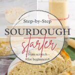 Sourdough Starter