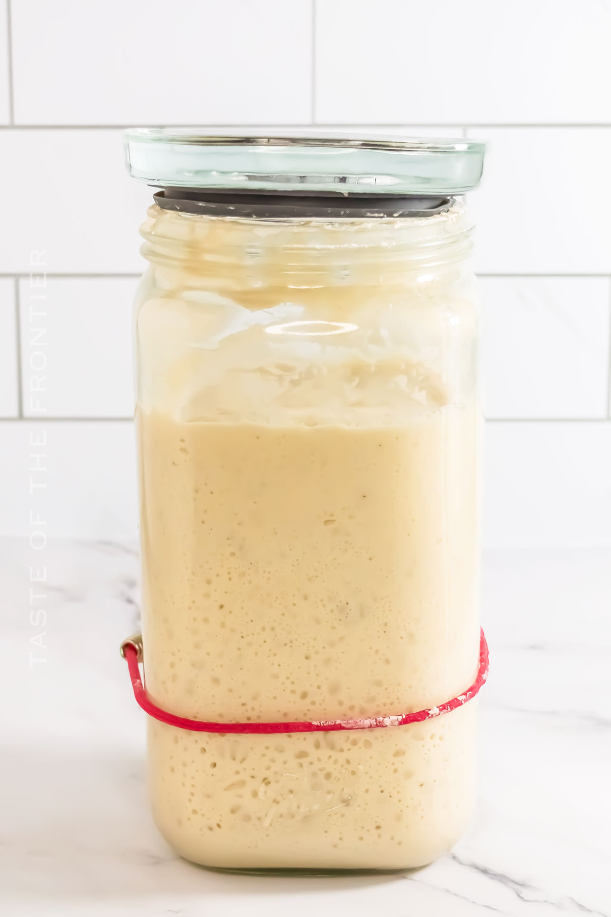 Sourdough Starter