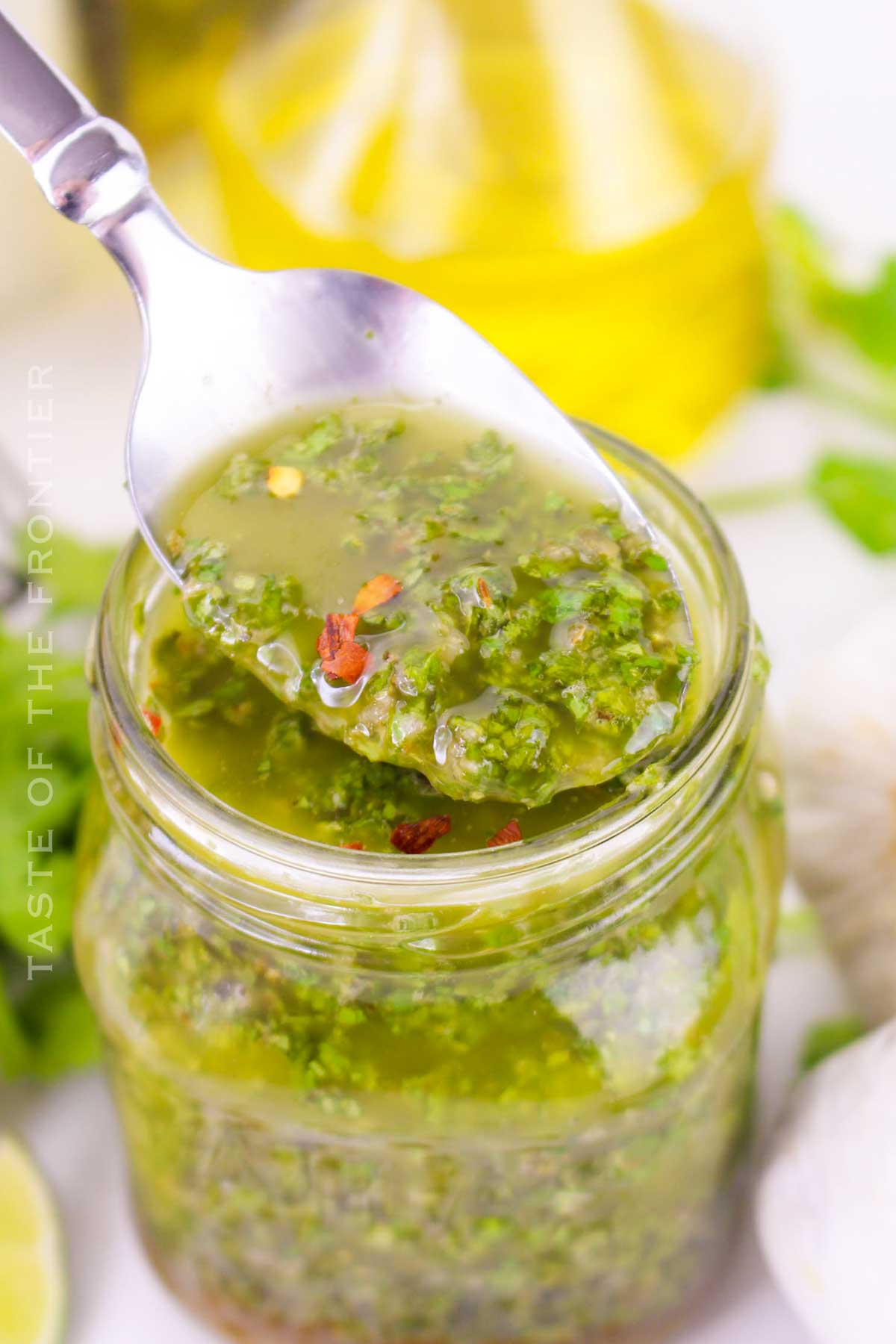 Cilantro Chimichurri Sauce