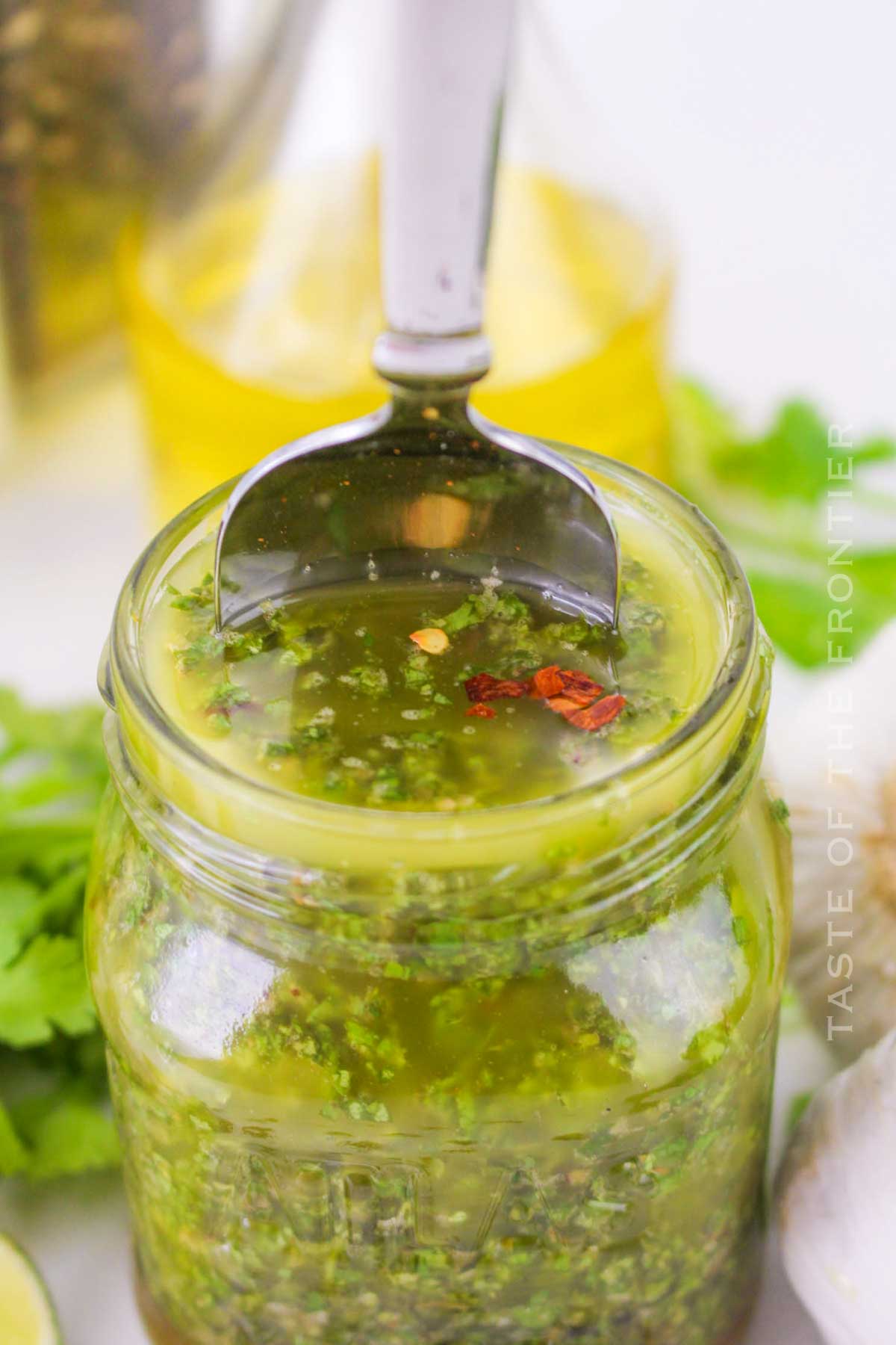 easy sauce recipe with cilantro