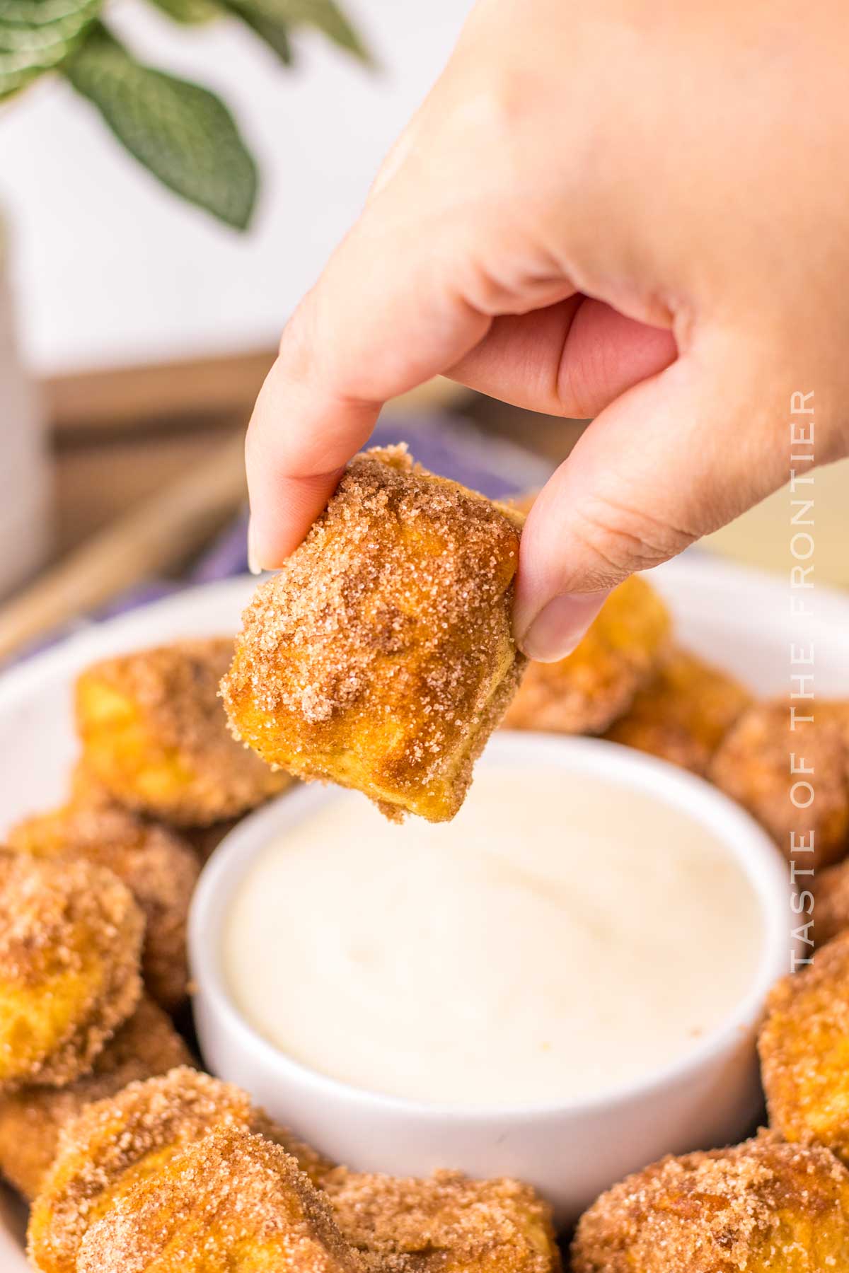 Copycat Auntie Anne’s Pretzel Bites - Cinnamon and Sugar