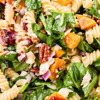 Autumn Pasta Salad