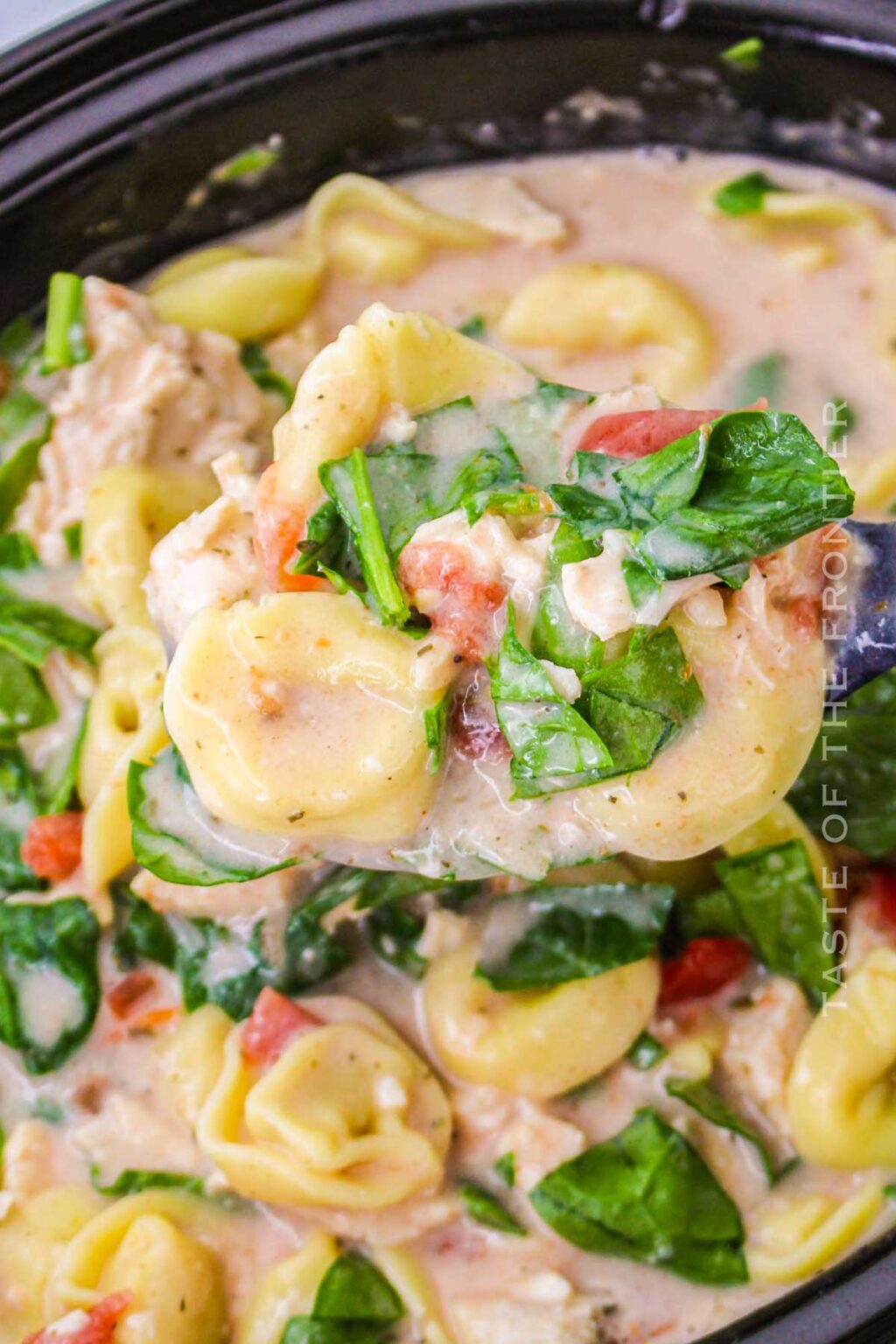 Chicken and Tortellini (Slow Cooker or Stovetop) - Yummi Haus