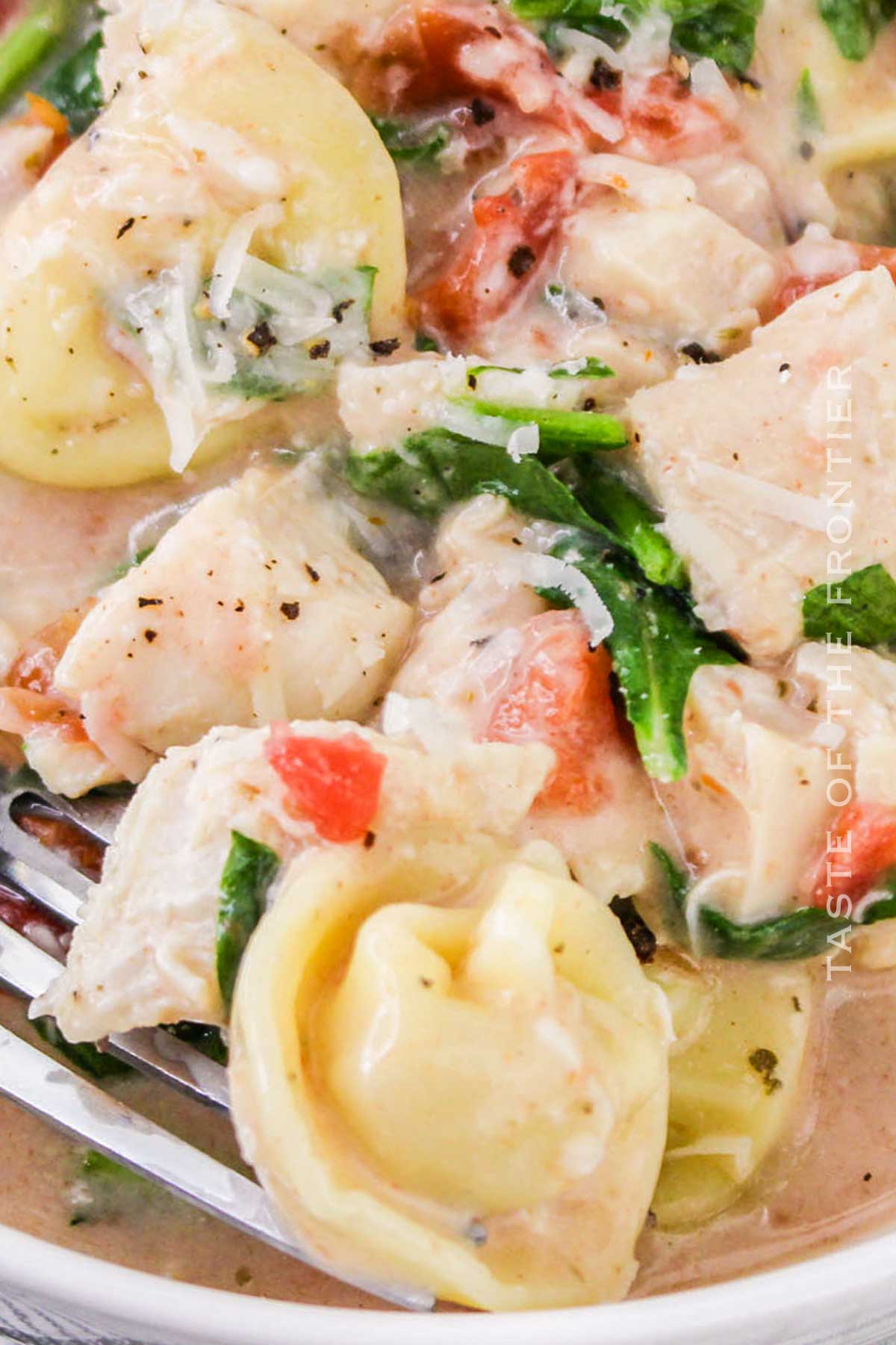 Chicken and Tortellini soup