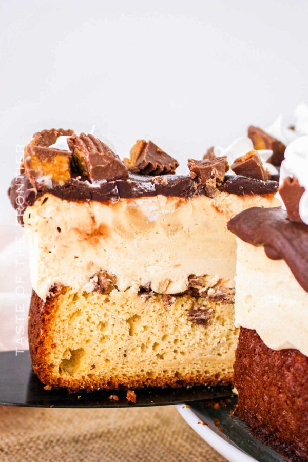 Peanut Butter Cup Ice Cream Cake