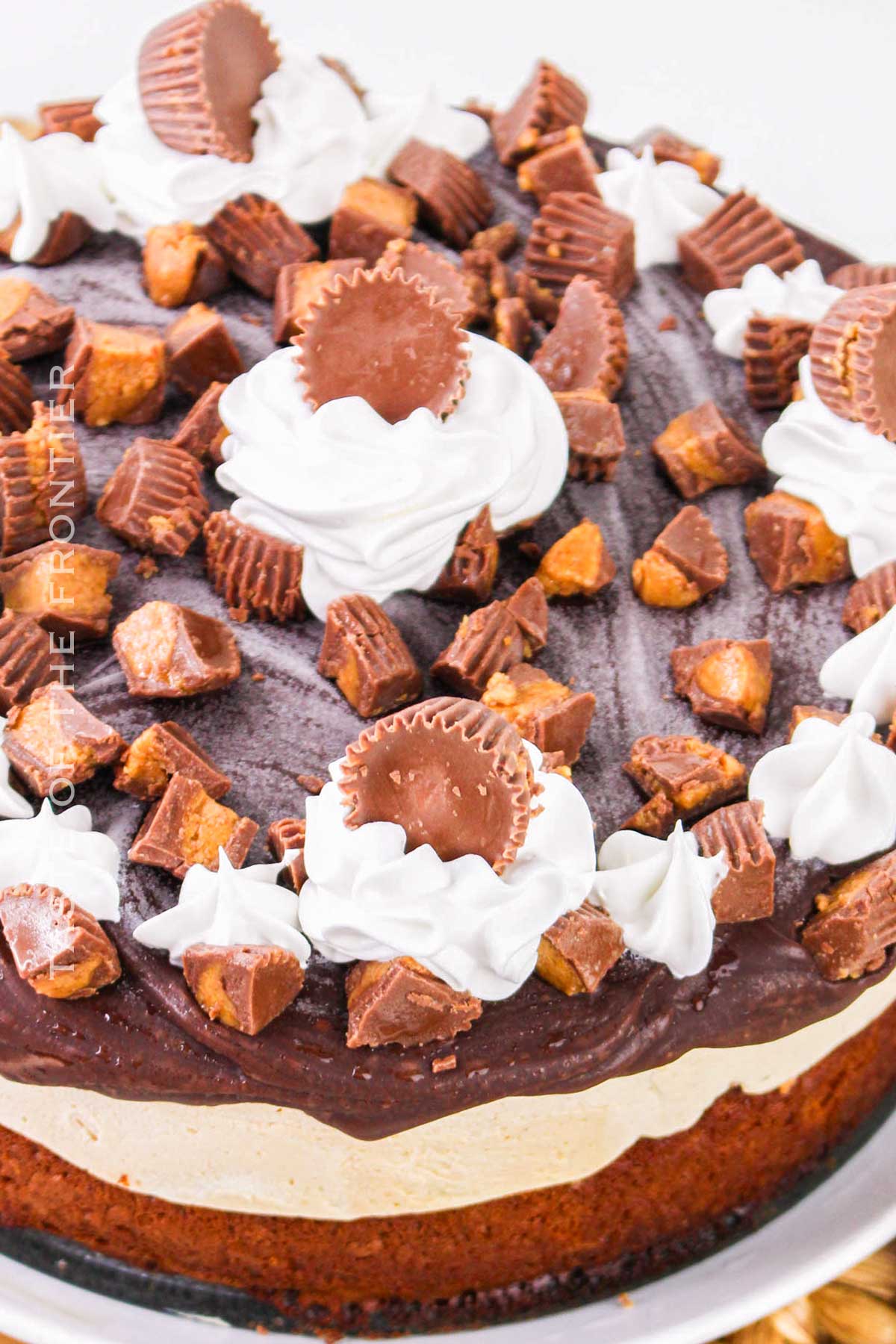 Peanut Butter Cup Ice Cream Cake recipe