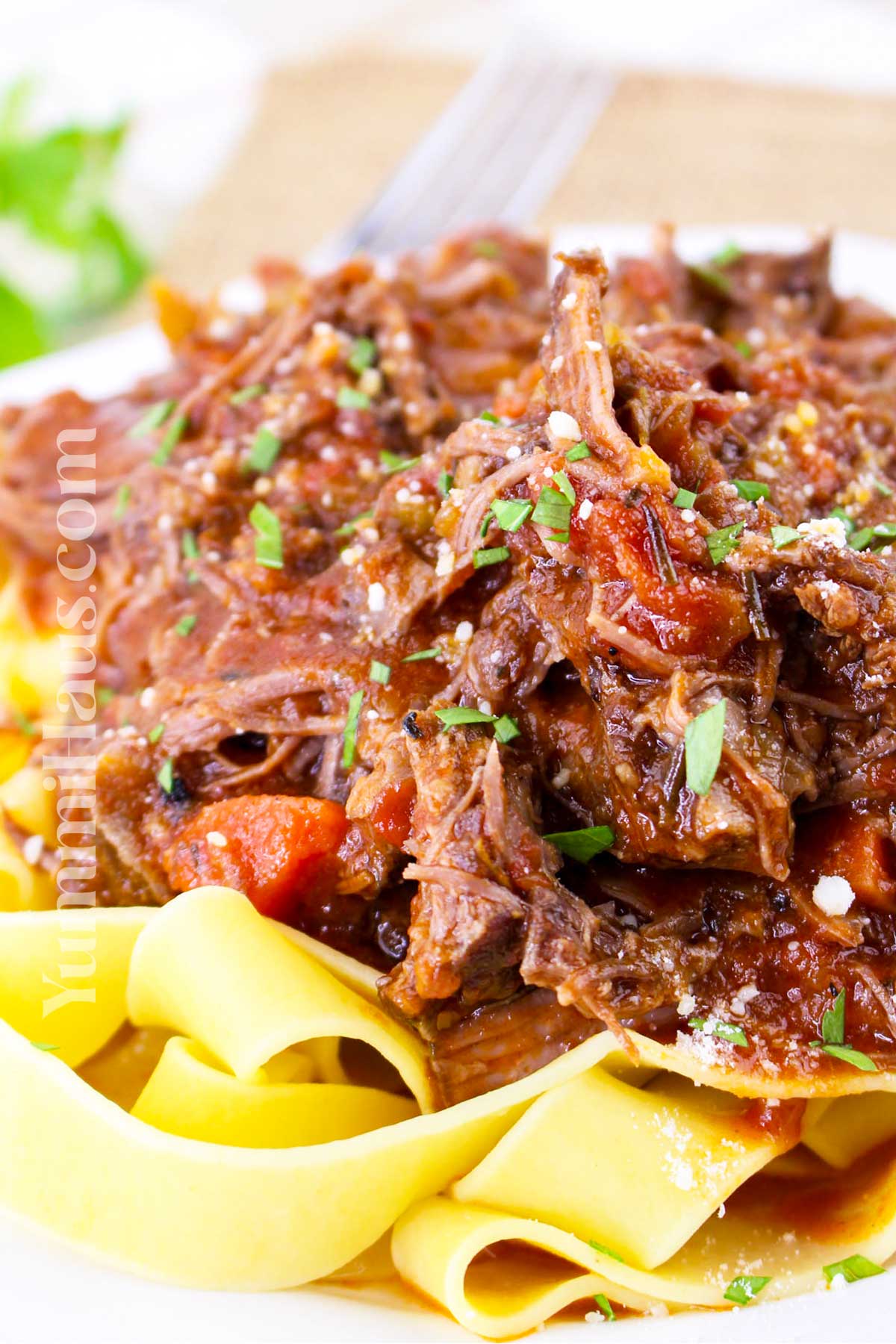 Beef Short Rib Ragu