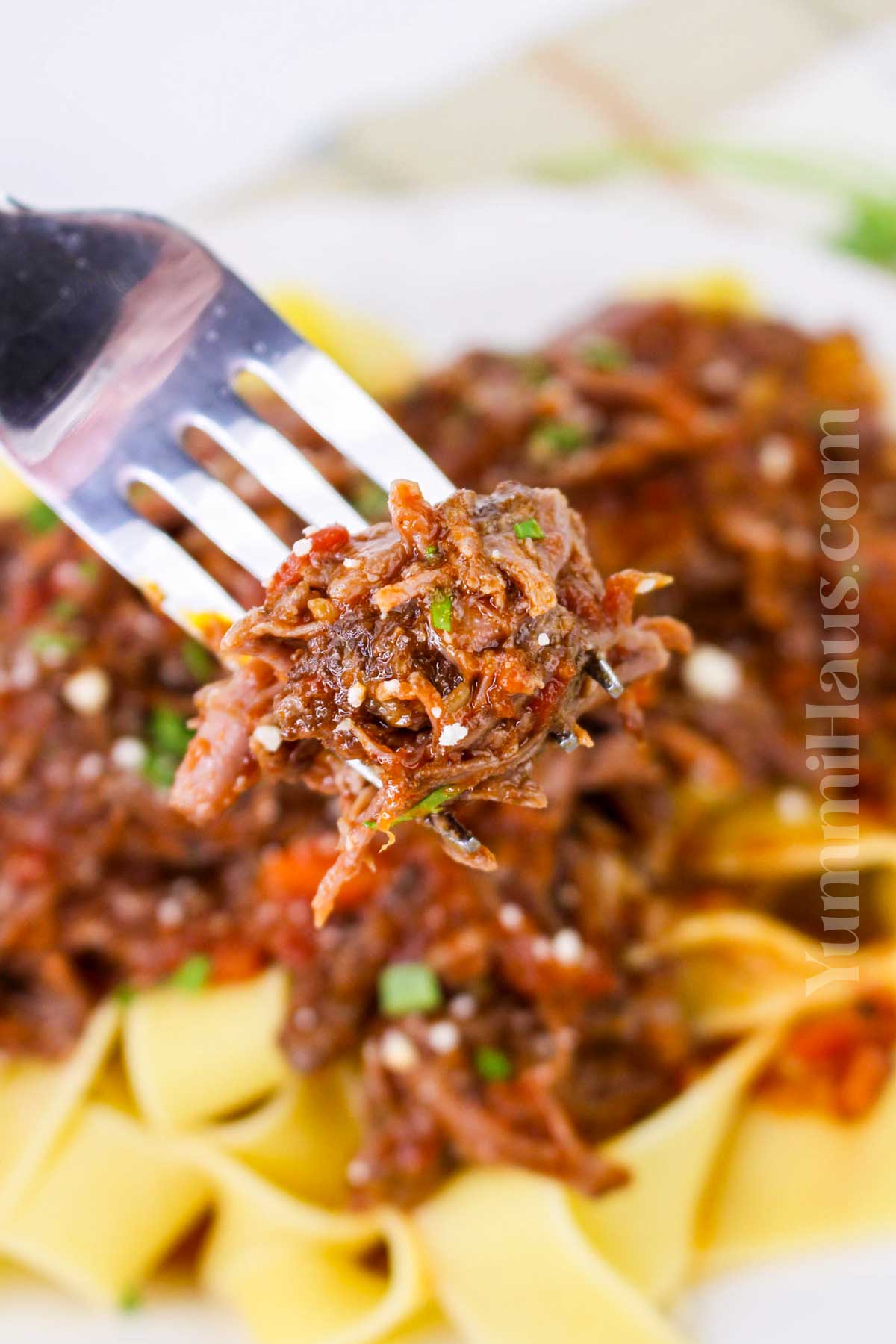 Beef Short Rib Ragu recipe