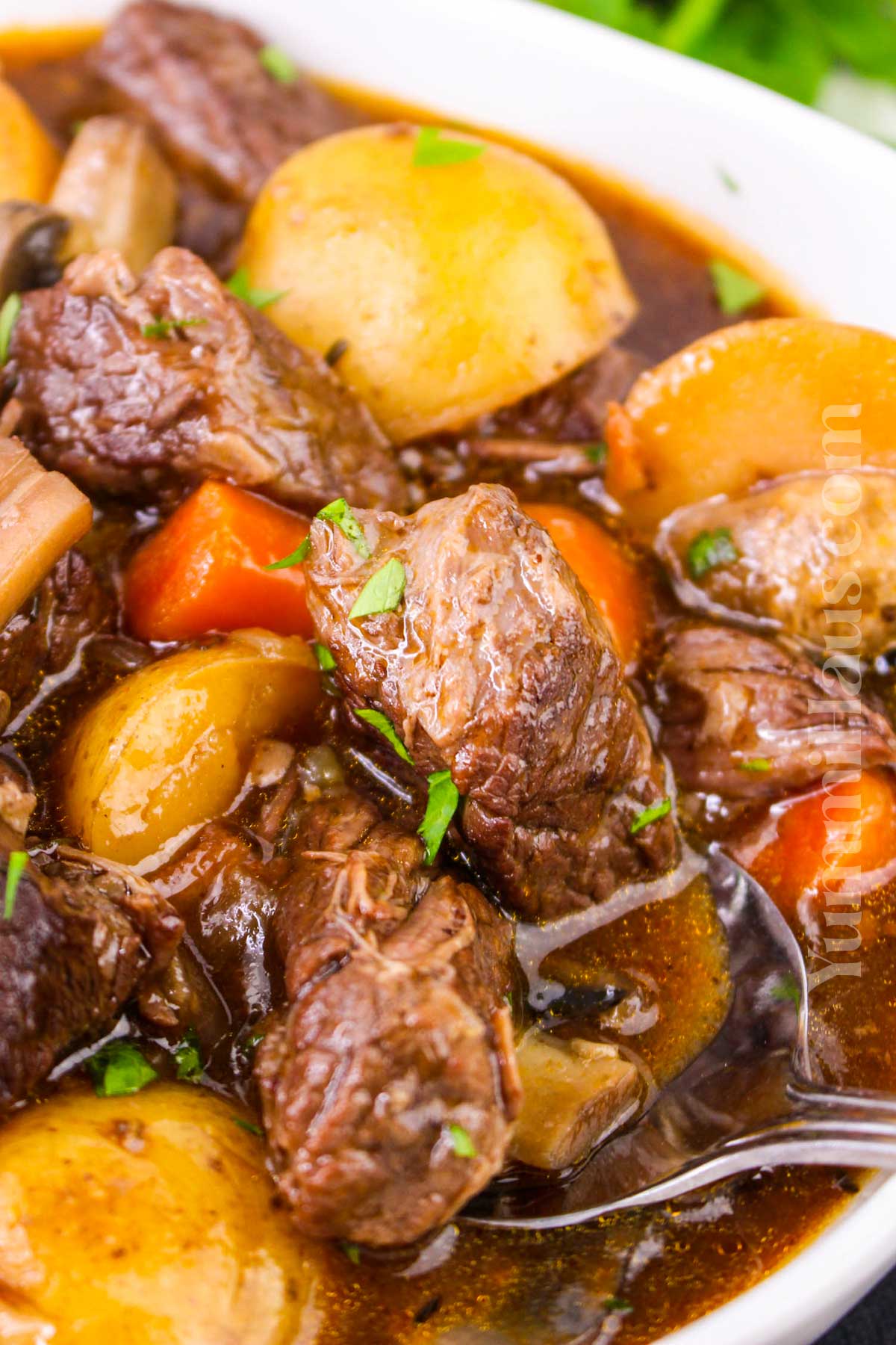 Instant Pot Beef Bourguignon