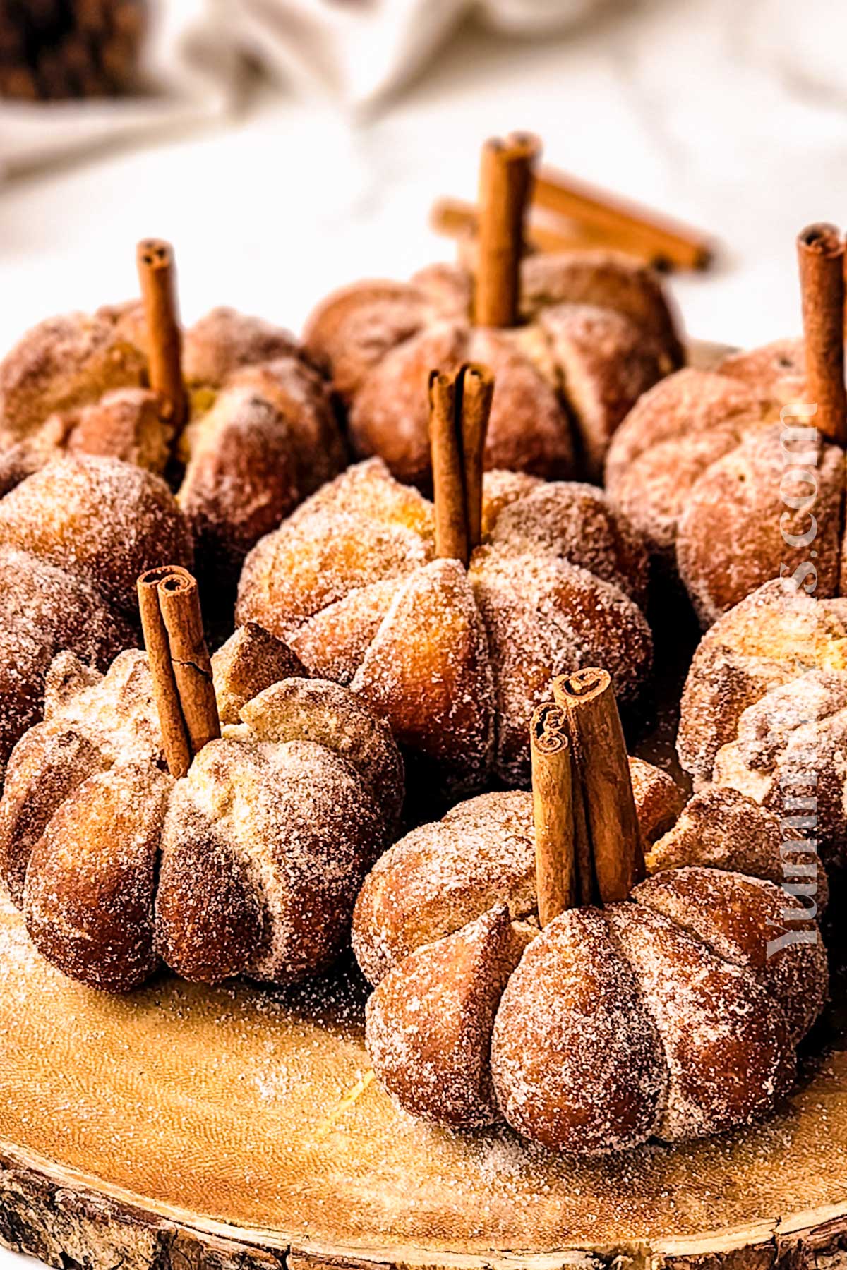 Pumpkin Donuts