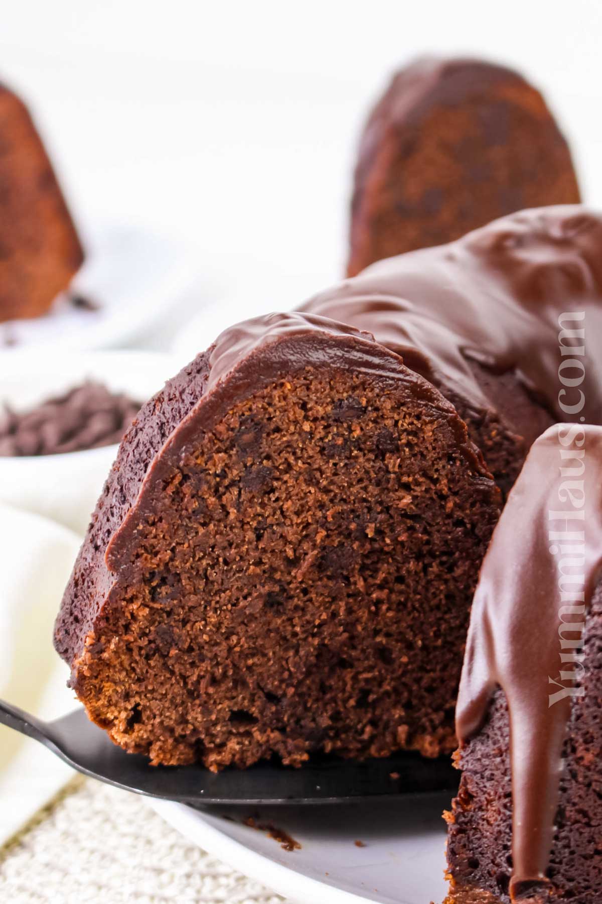 Chocolate Chip Chocolate Pound Cake