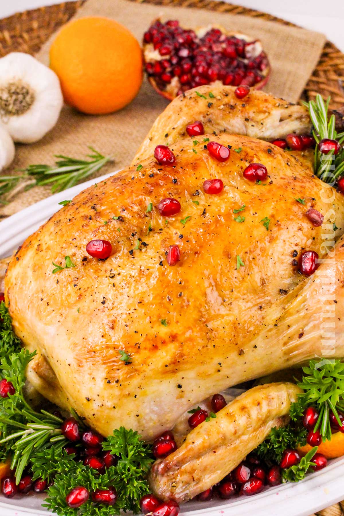 Christmas Chicken recipe