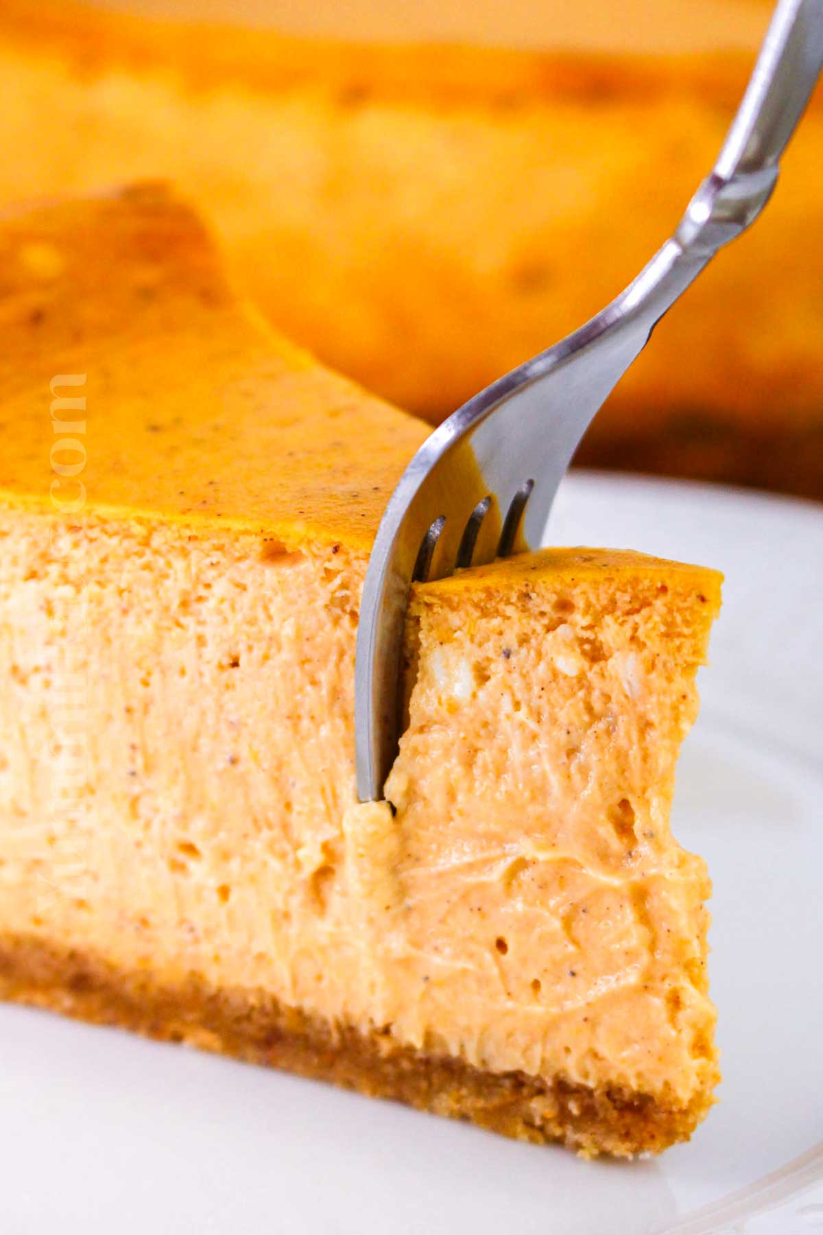 Pumpkin Cheesecake