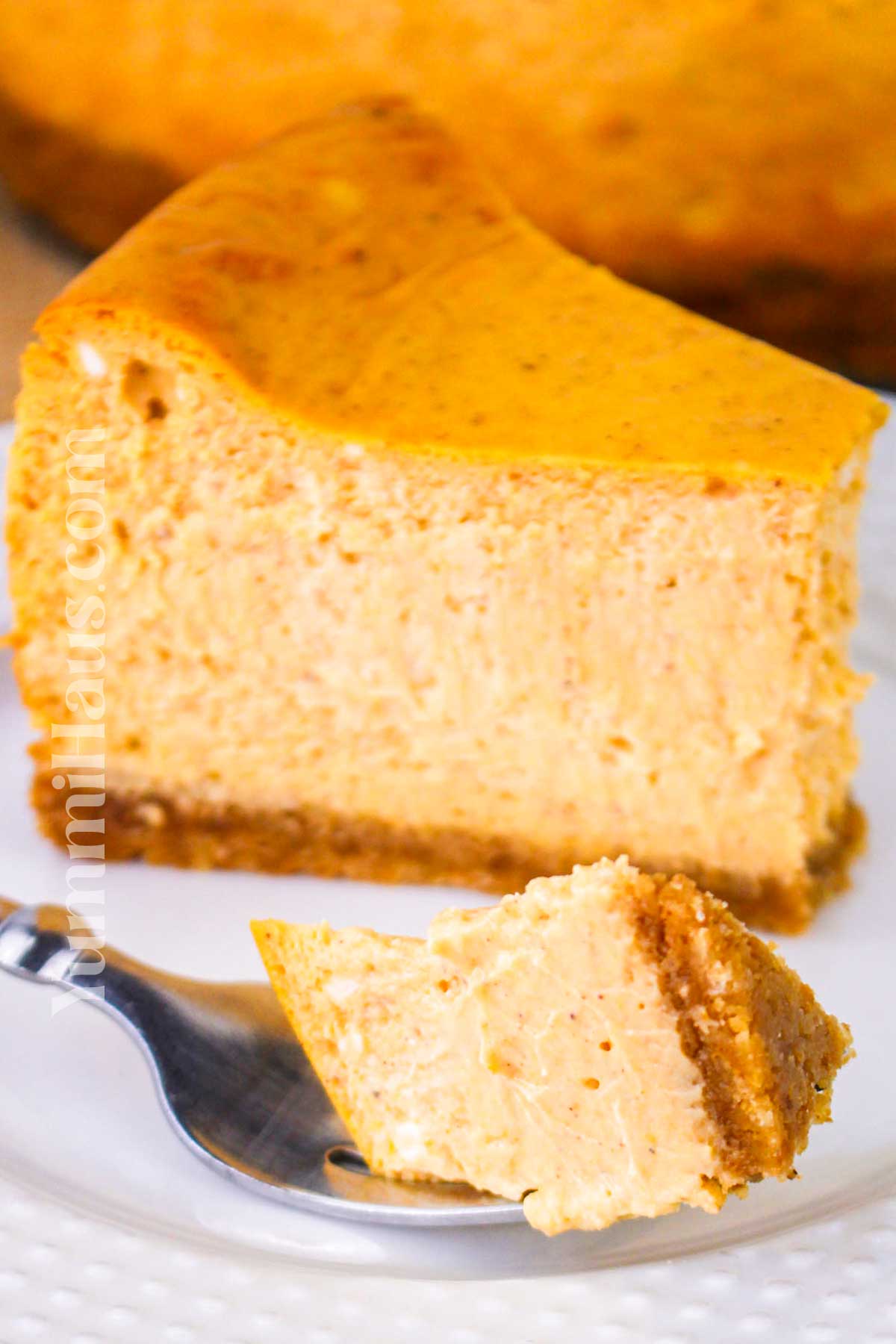 Pumpkin Cheesecake recipe