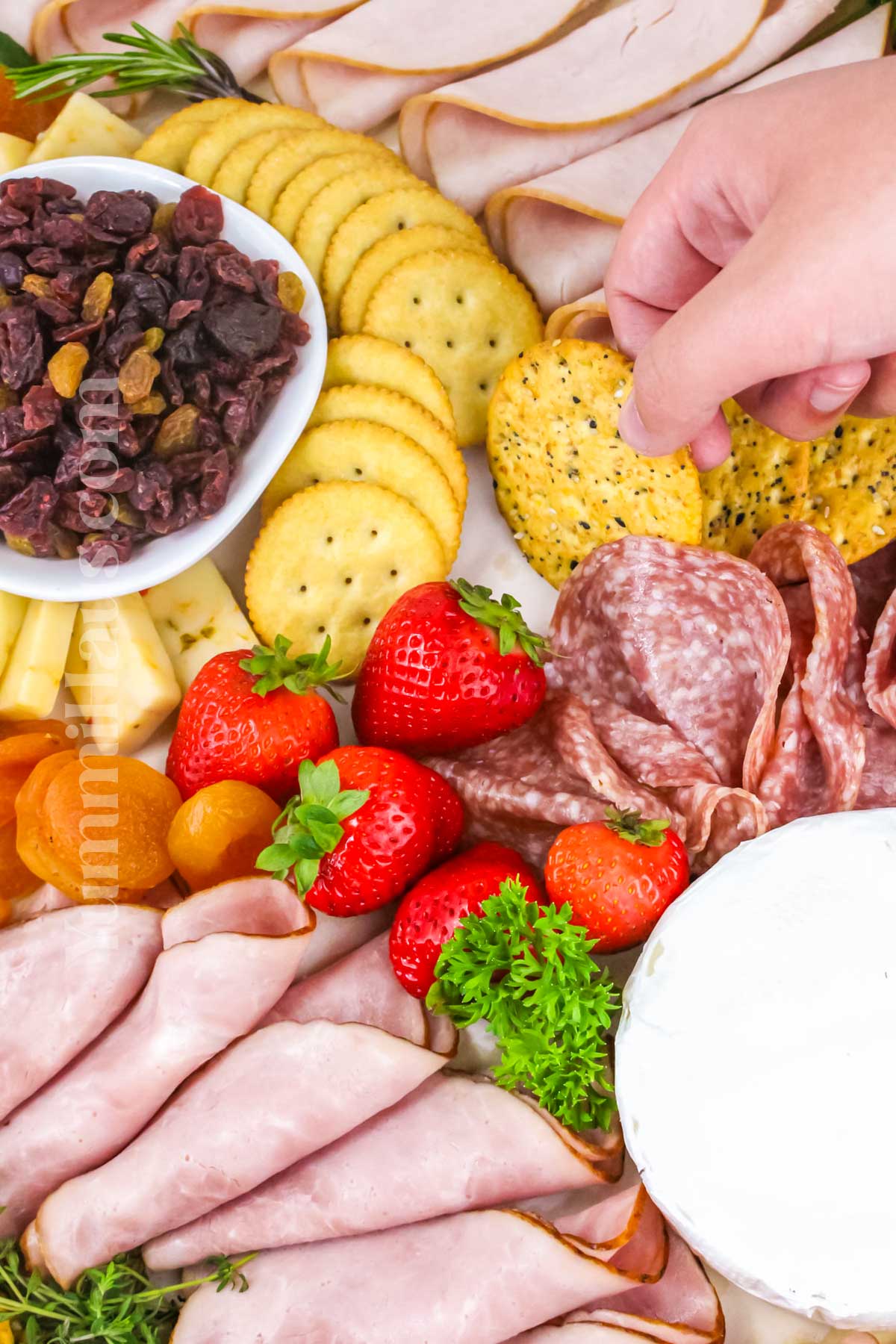 party buffet table spread