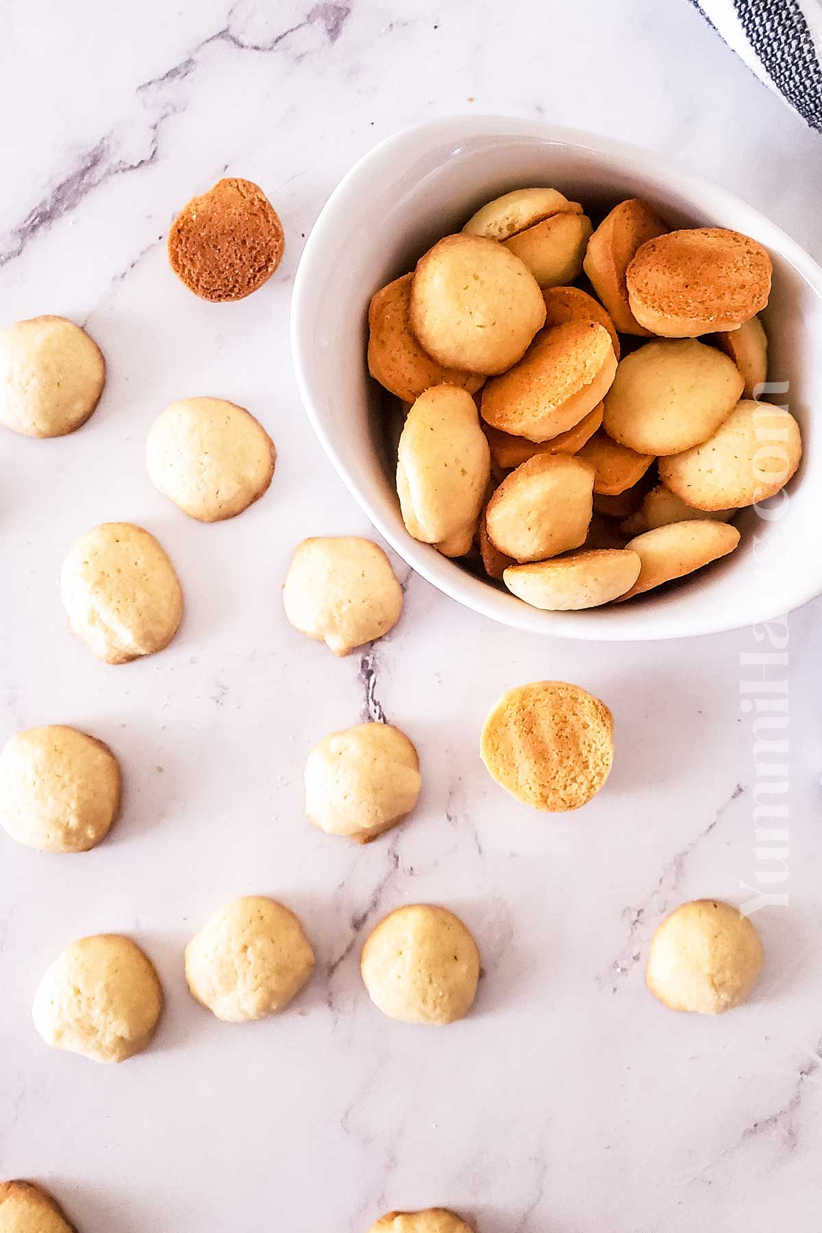 homemade vanilla cookies