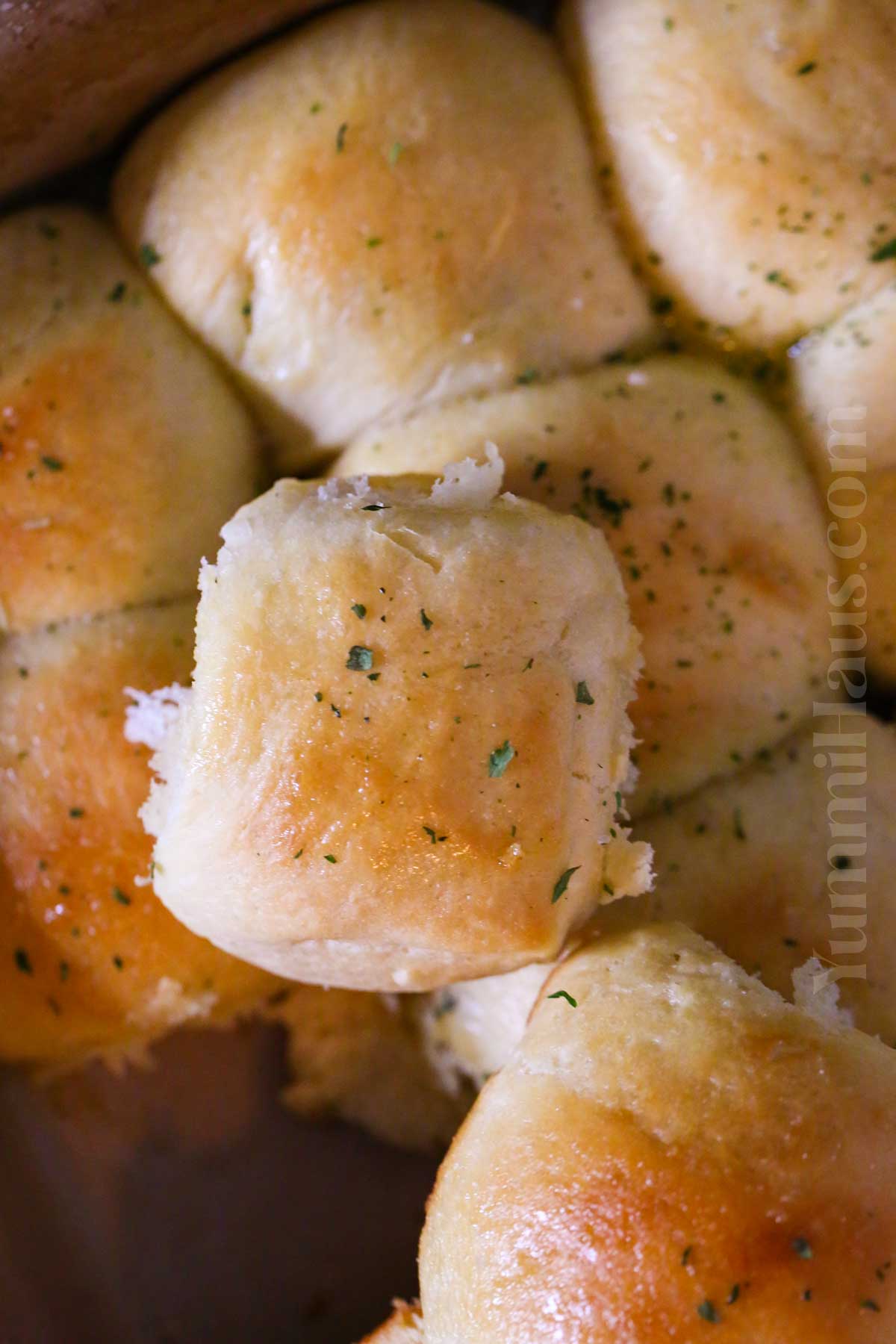 dinner rolls with honey butter