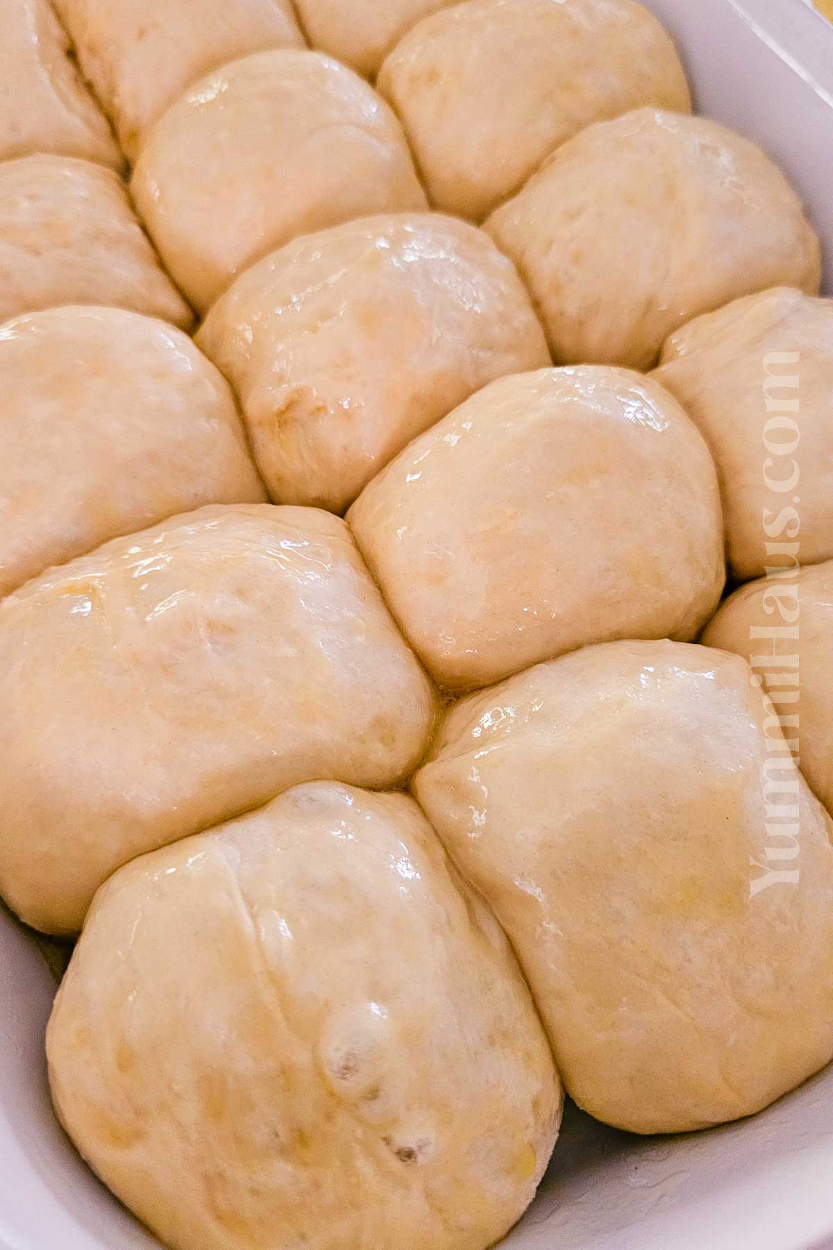 how to make Hawaiian Dinner Rolls