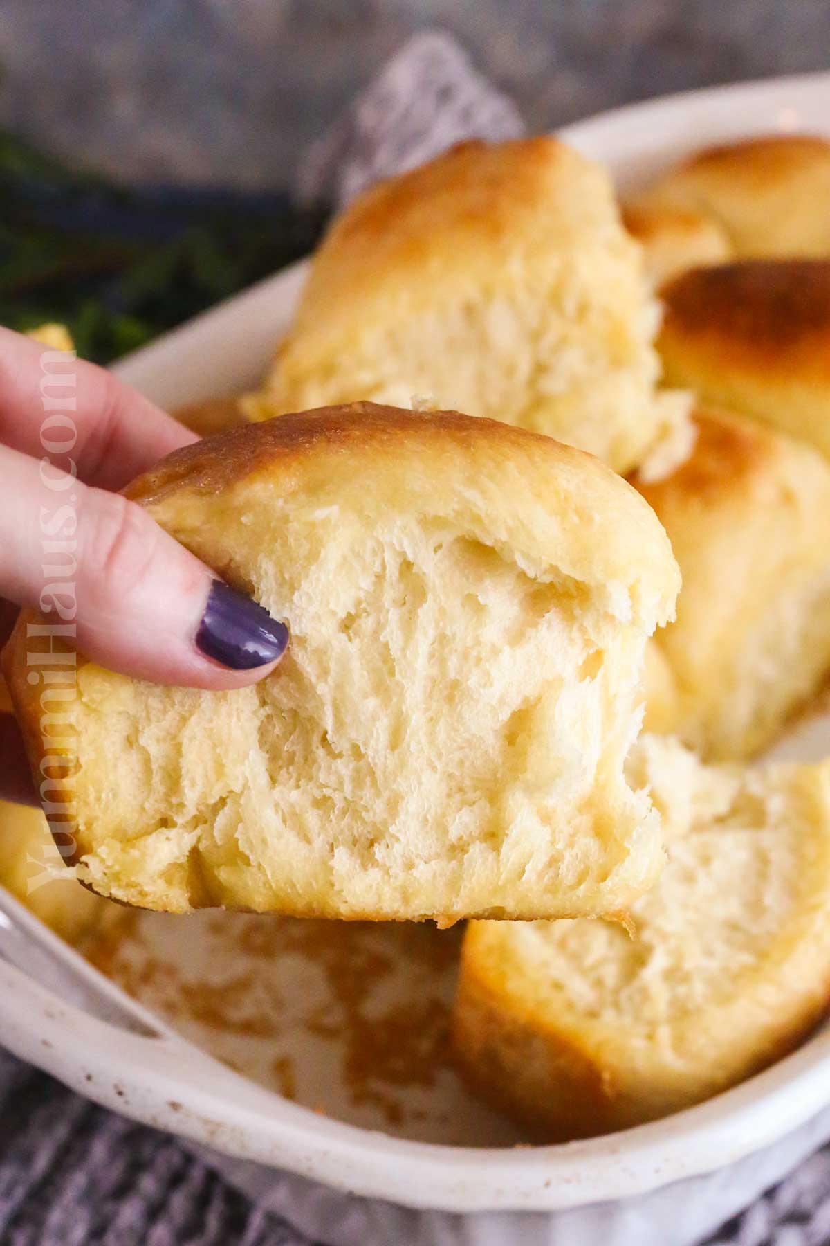 Hawaiian Dinner Rolls recipe