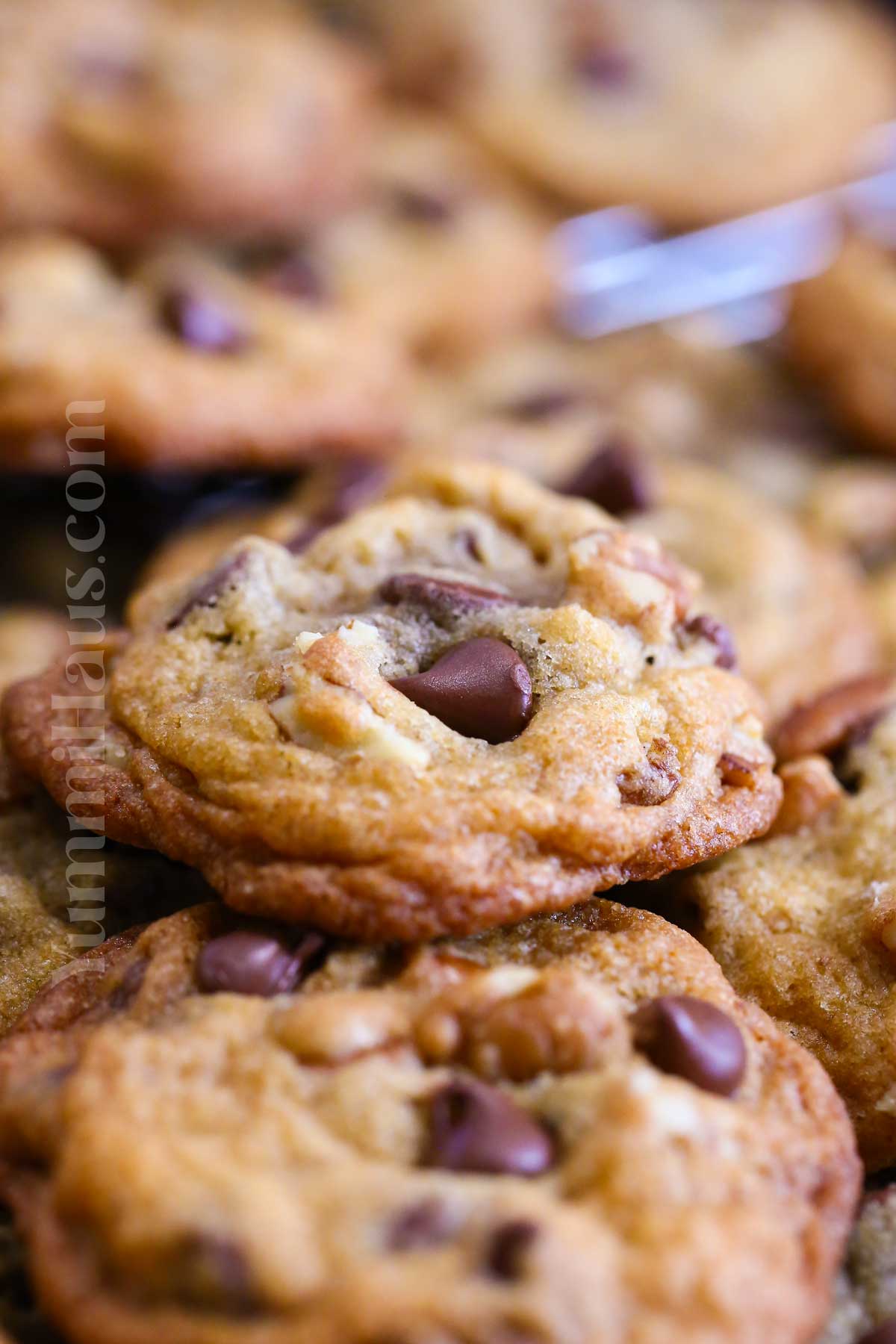 easy chocolate chip cookies