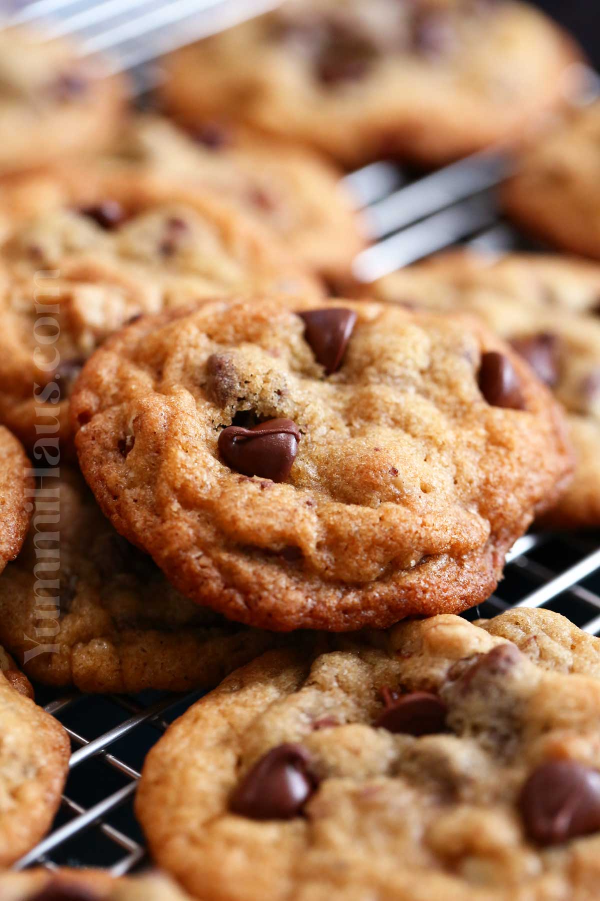 original recipe Toll House Cookies