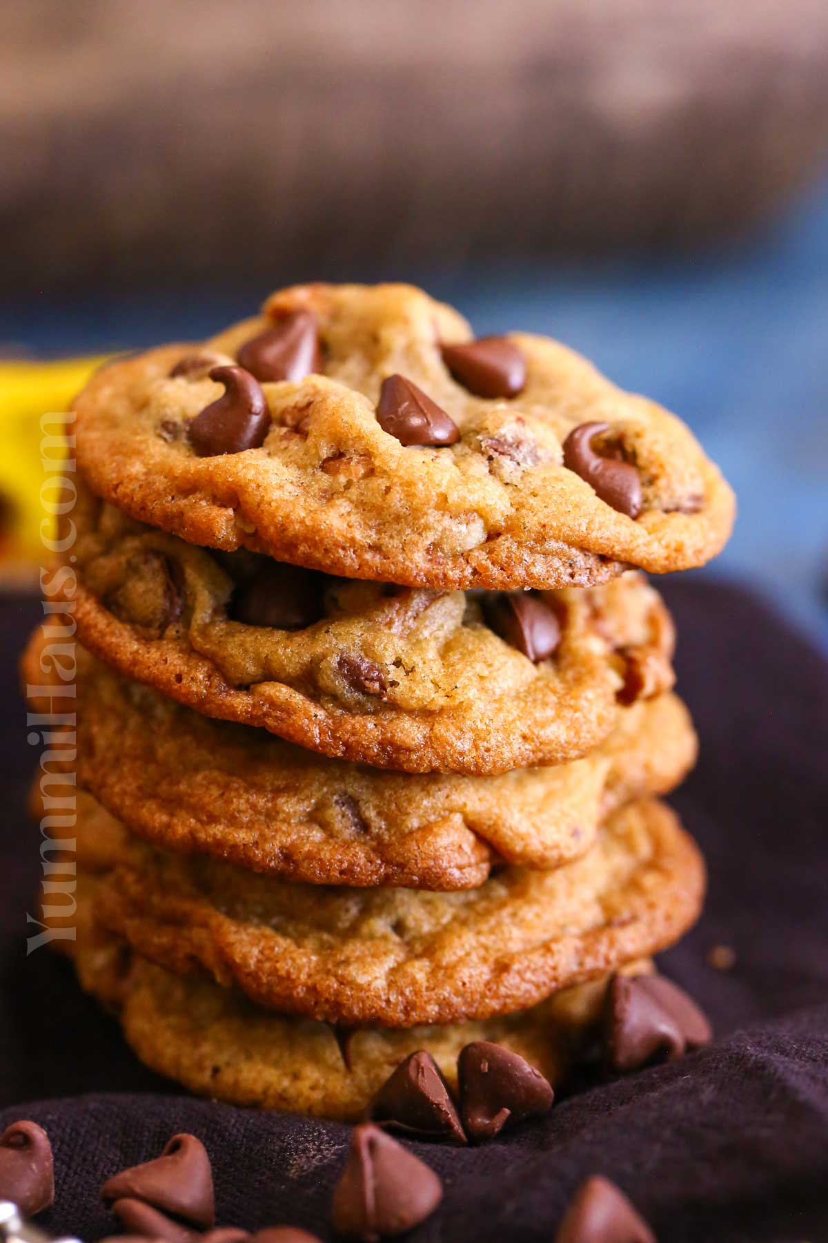 Nestle Toll House Cookies recipe