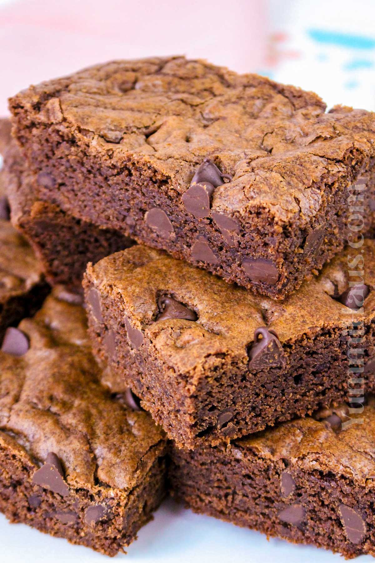 Chocolate Chocolate Chip Cookie Bars recipe