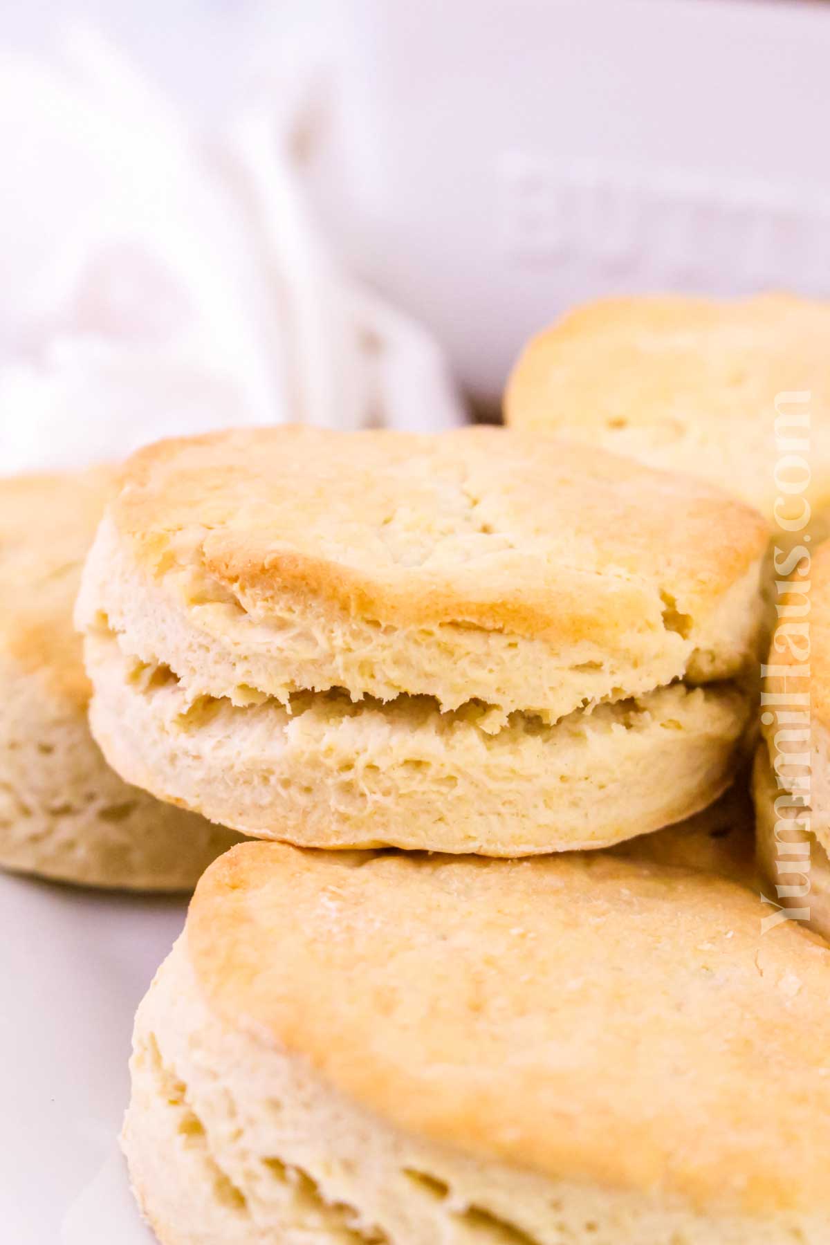 2-Ingredient Biscuit recipe