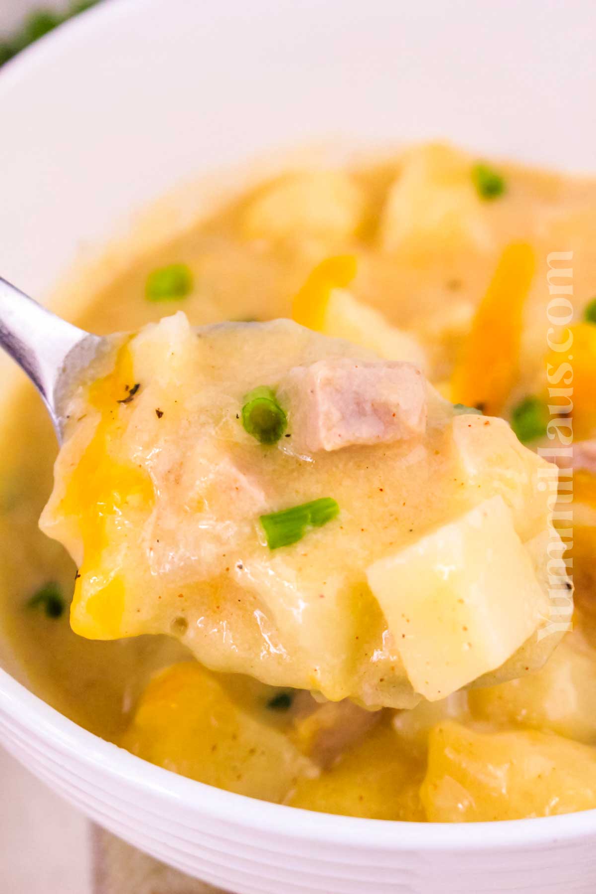 recipe for Cheesy Ham and Potato Soup