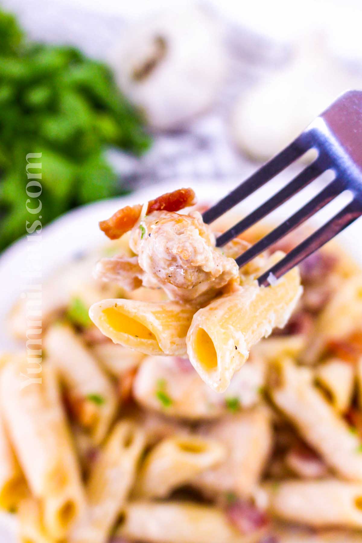 Chicken and Bacon Pasta recipe