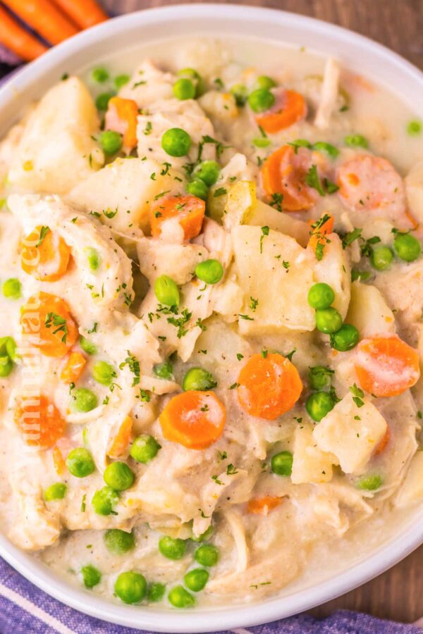 Slow Cooker Chicken Stew