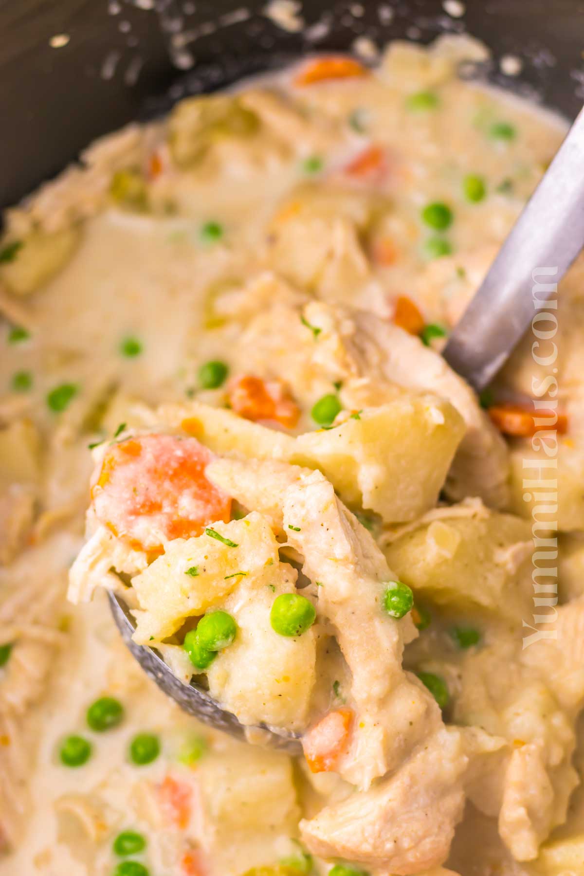 Slow Cooker Chicken Stew recipe