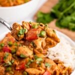 Slow Cooker Chicken Curry