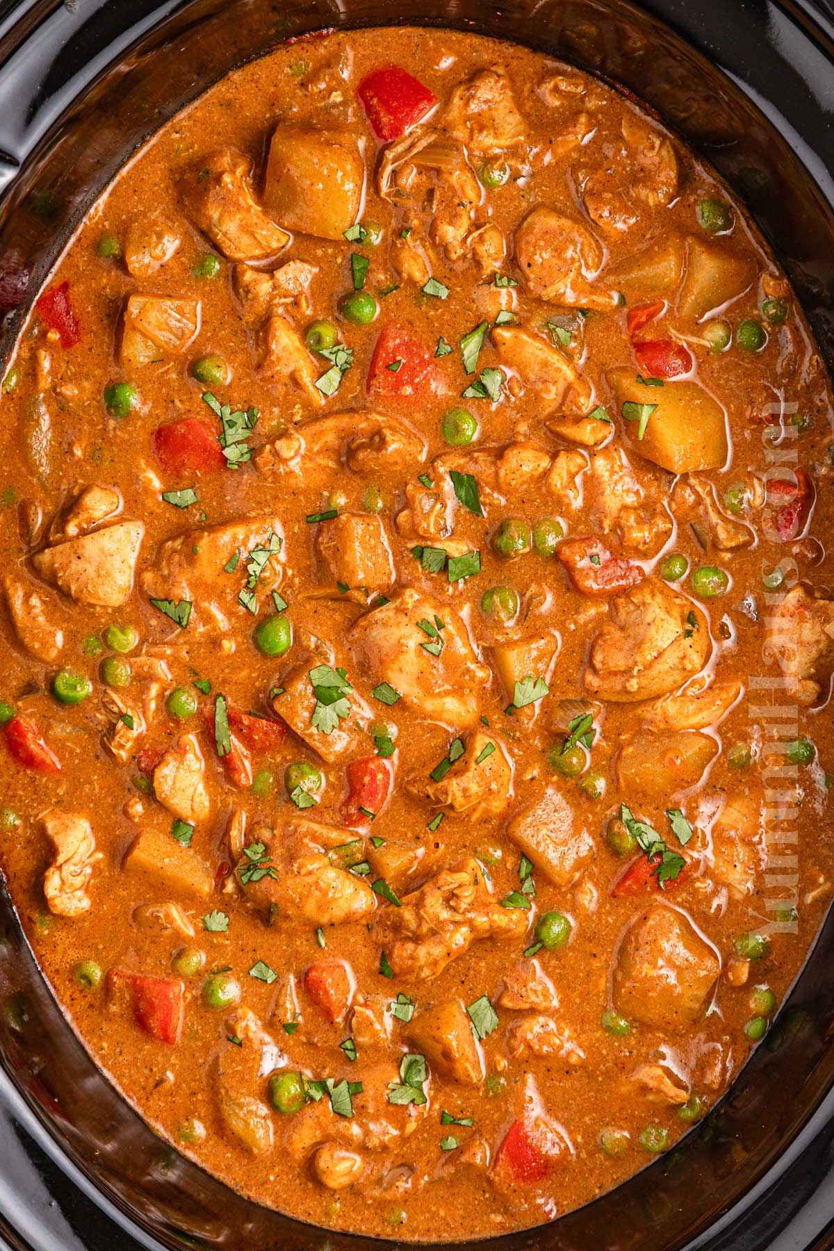 Slow Cooker Chicken Curry recipe