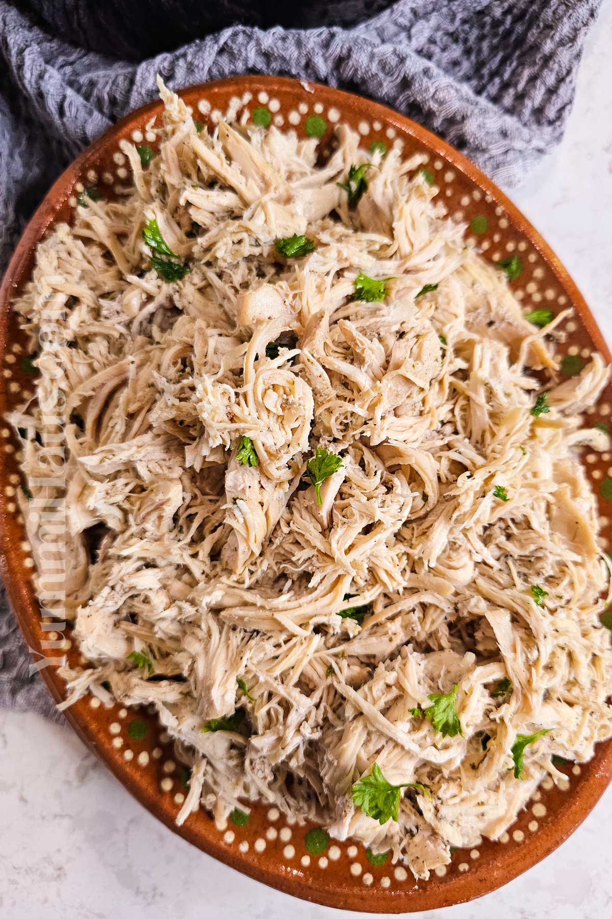 pulled chicken recipe