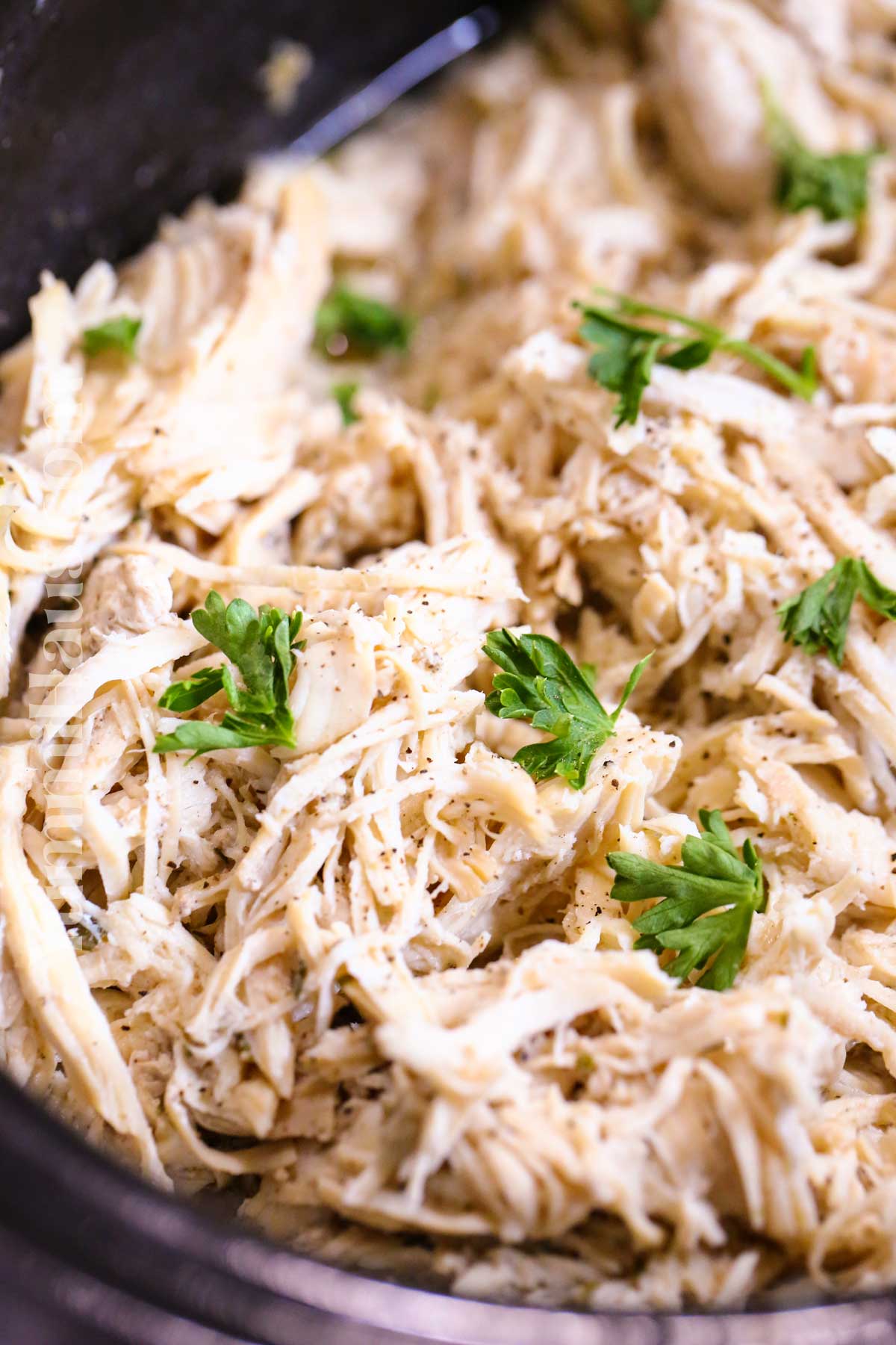 Slow Cooker Shredded Chicken recipe